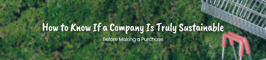 How to Know If a Company Is Truly Sustainable Before Making a Purchase